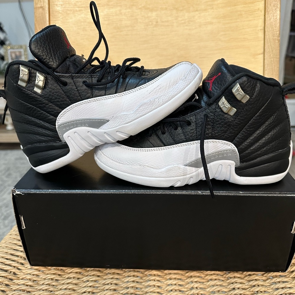 Air Jordan 12s